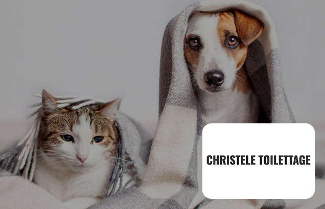 christele-toilettage-visuel